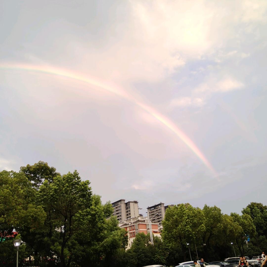 黄辣丁，小王子