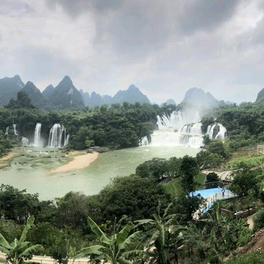 云起花卉
