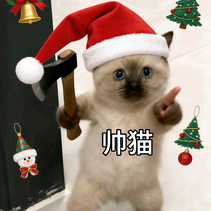 帅猫/周深