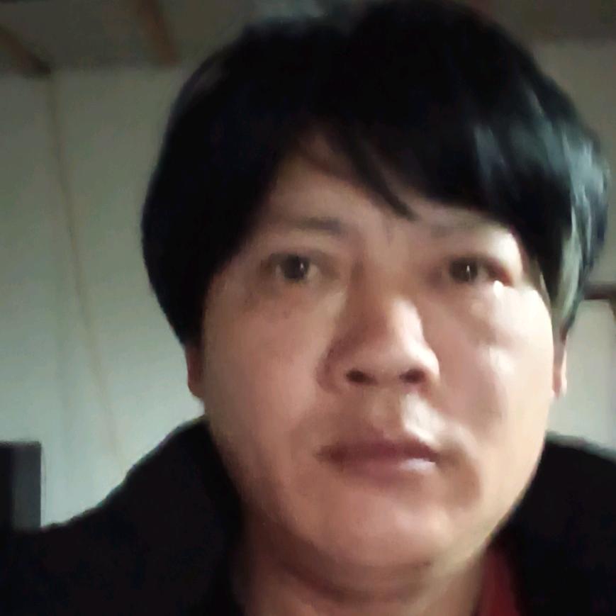 并非如歌