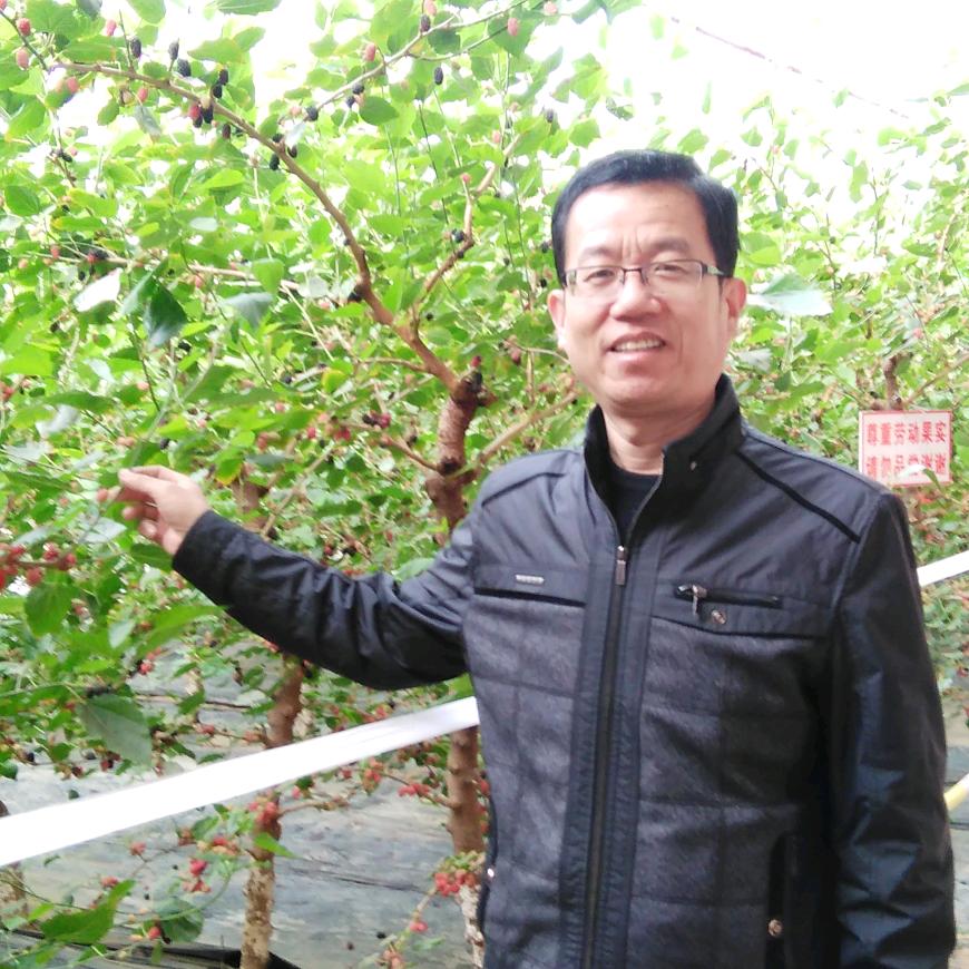 乡村新农人