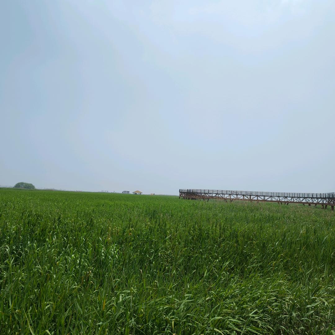 ai自动化营销系统