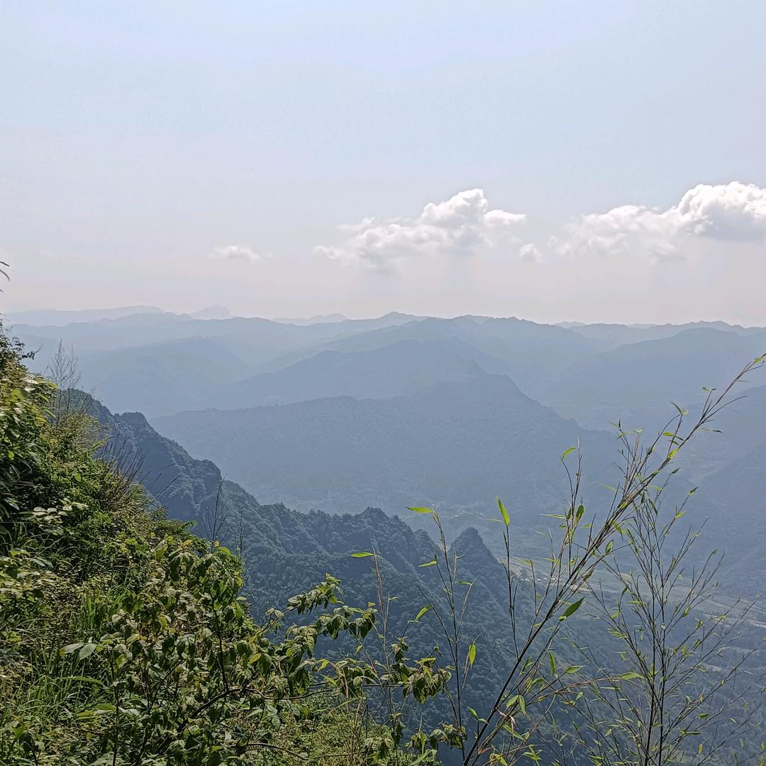 我姓陈 不染一尘