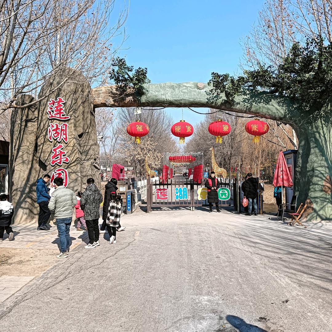 济宁汶上莲花湖湿地