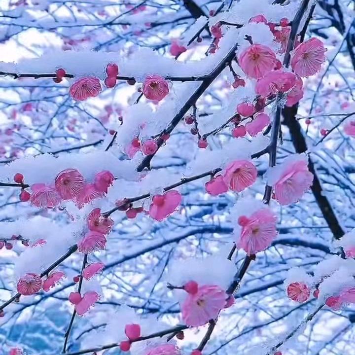 回不去的昨天
