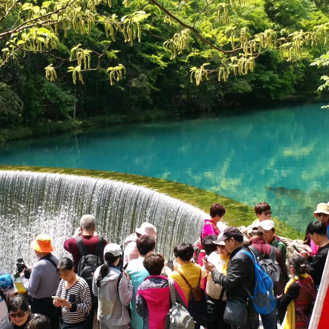 天道酬勤🌺🌺