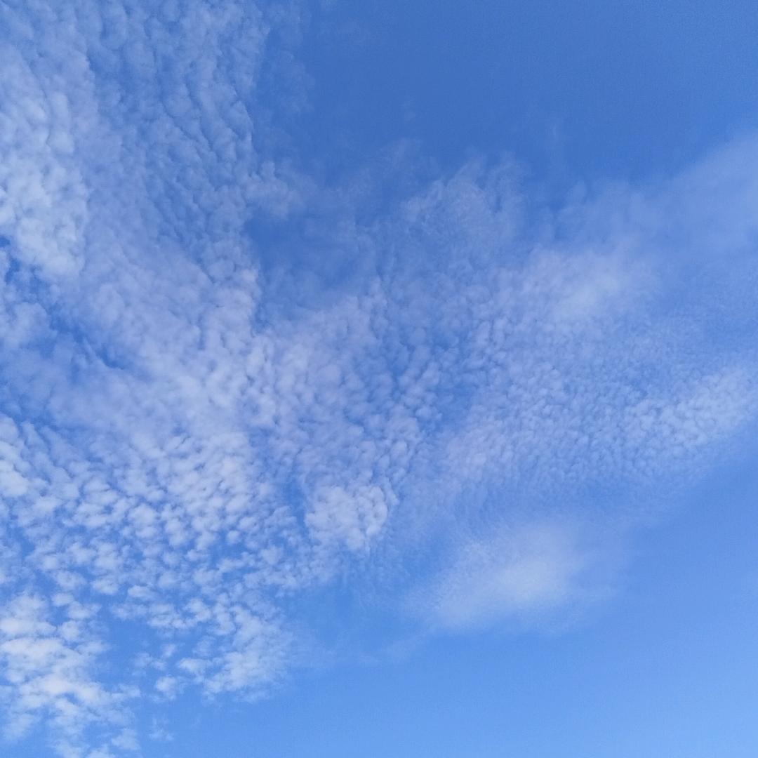 依潮品魅力女装精选