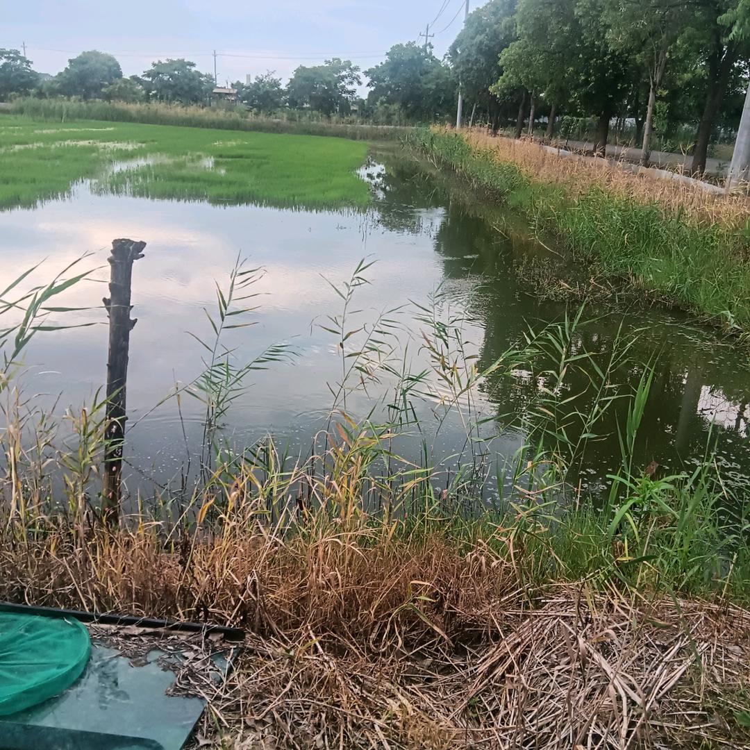 离开你我一样的快乐