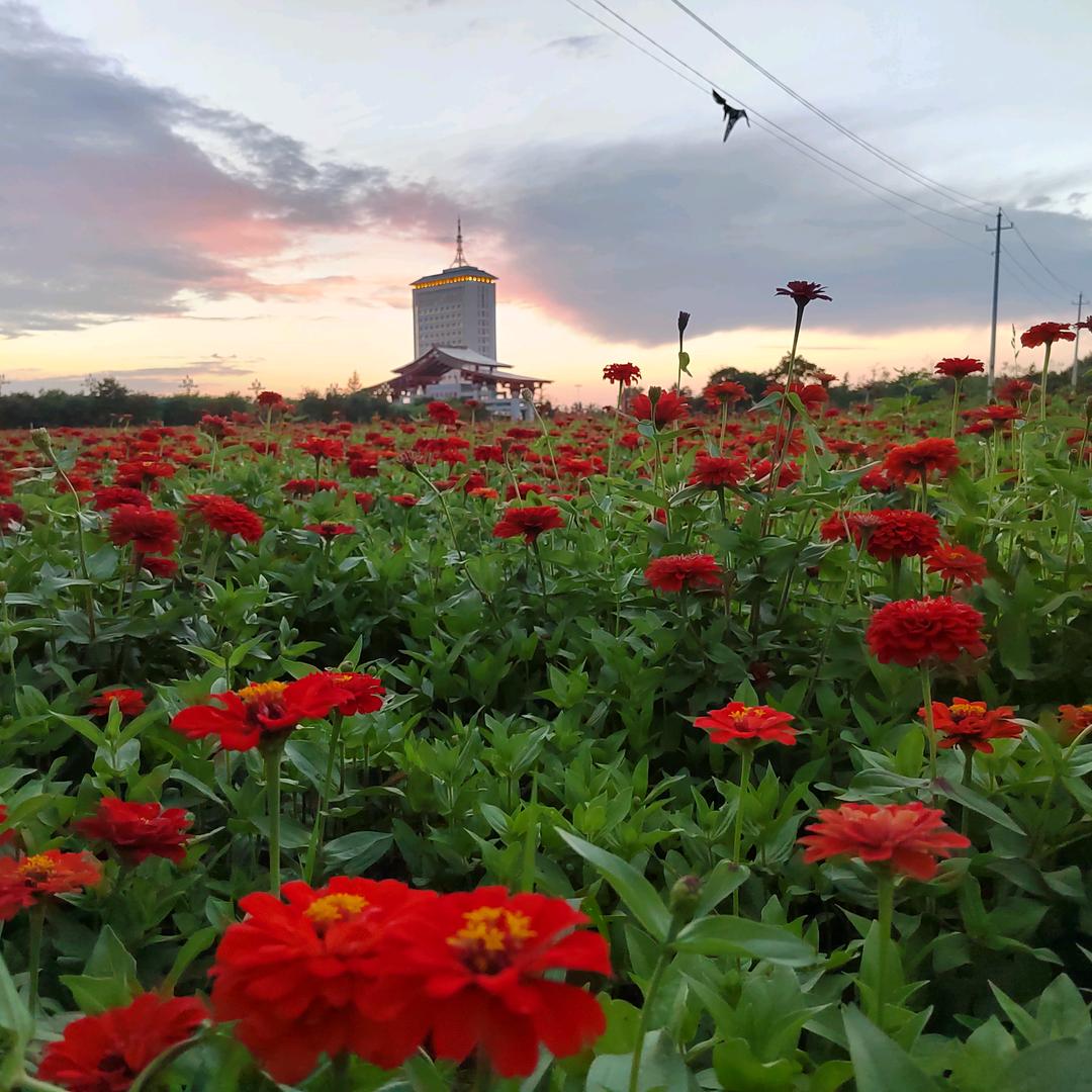 (*◑∇◑)☞孤傲的狼☜(◐∇◐*)