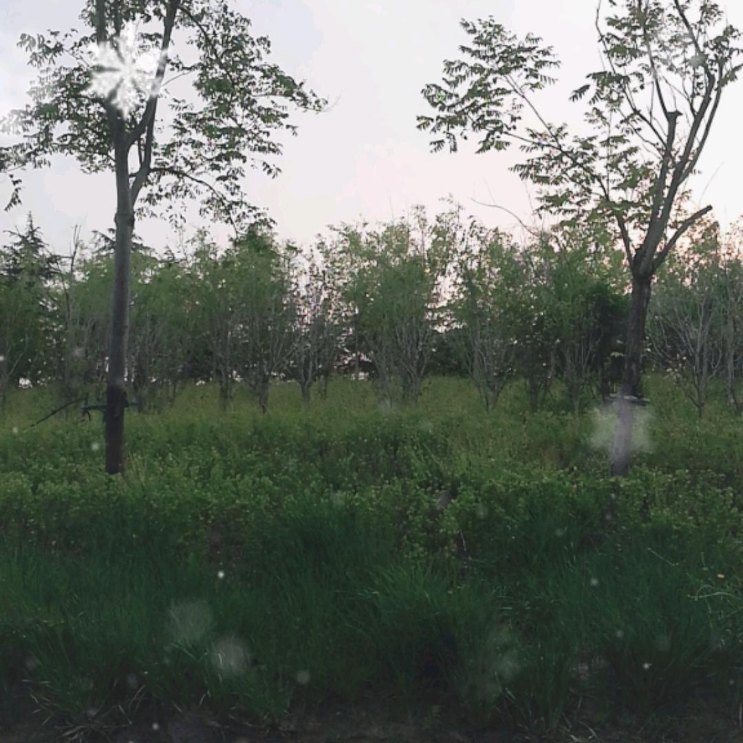 乐淘