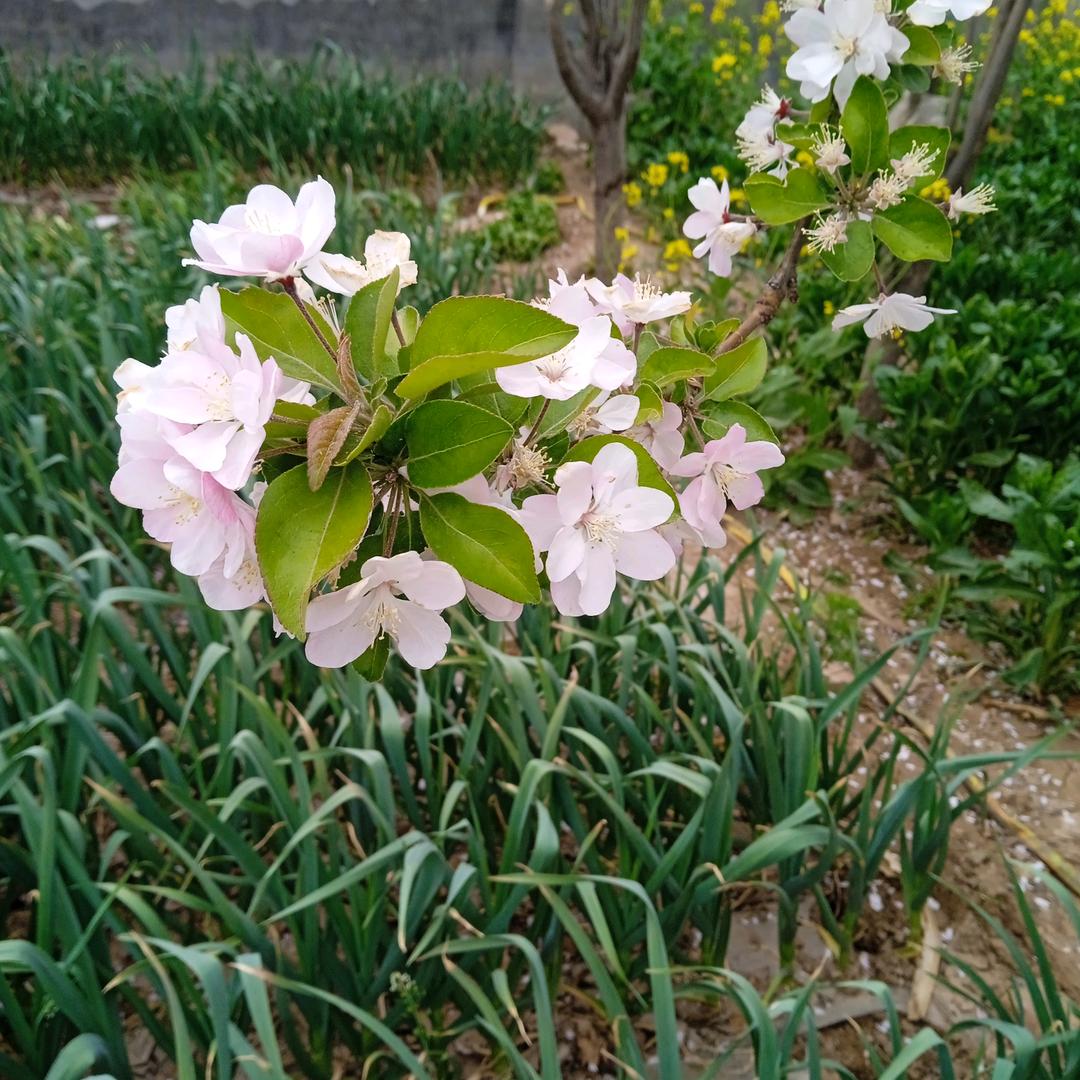 抽烟抽抽炫赫门爱她就爱一个