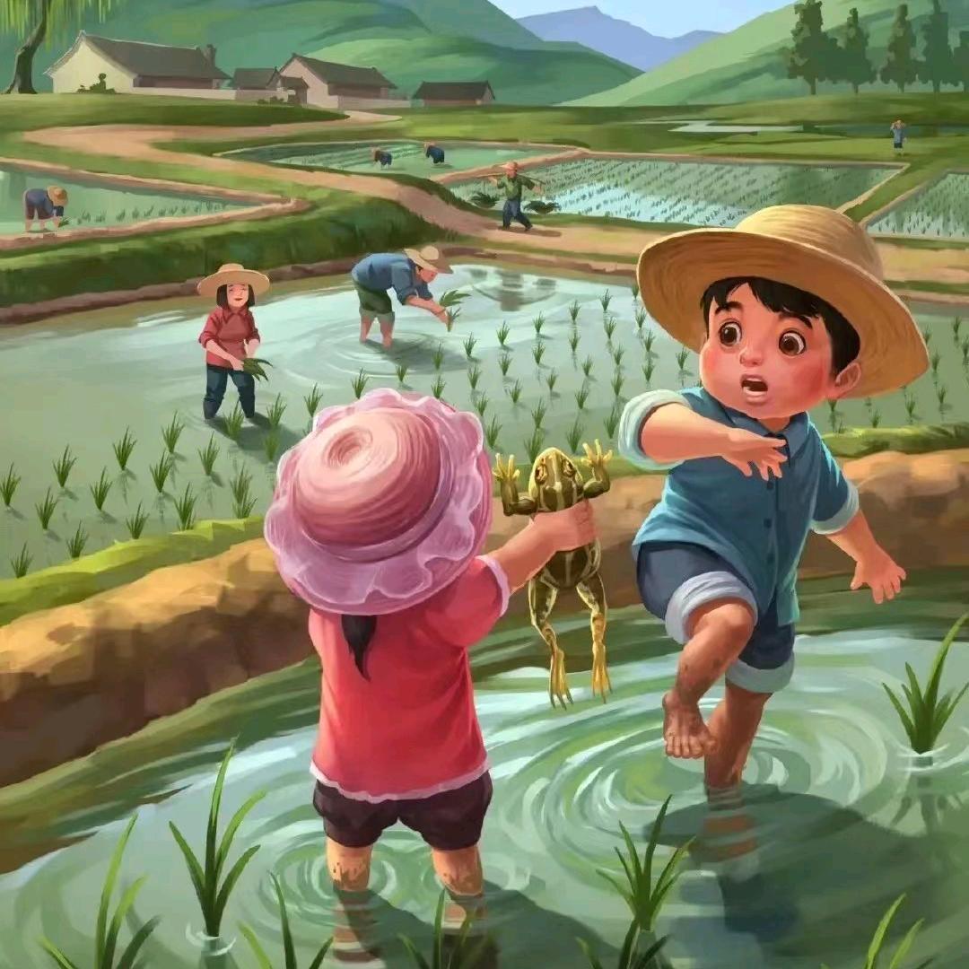 荔枝，