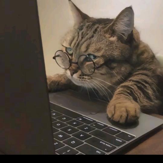 香蕉你个不呐呐