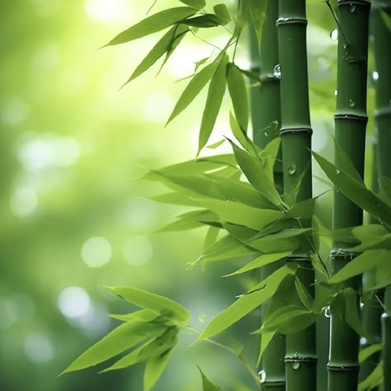建华优选