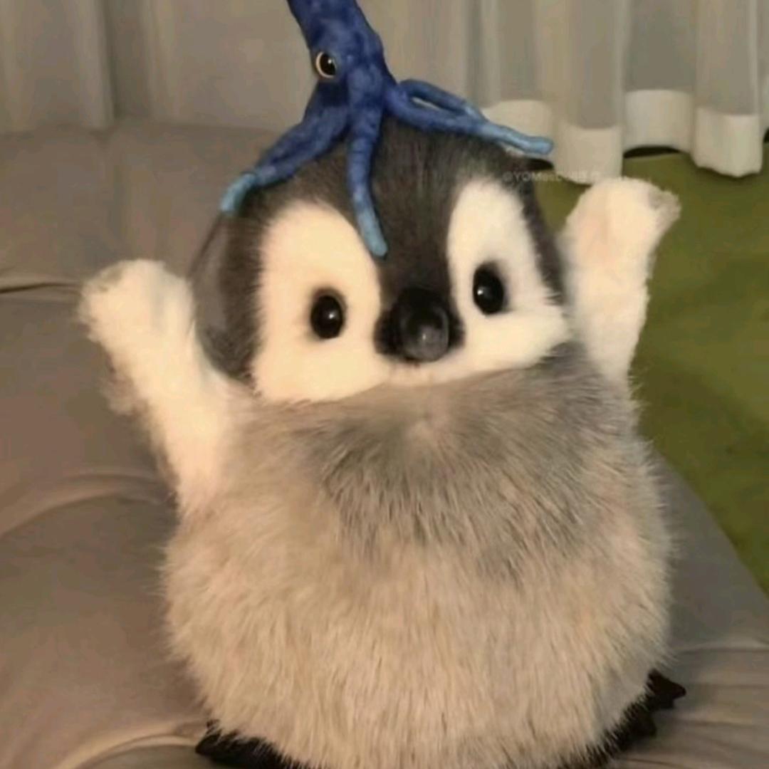 homie