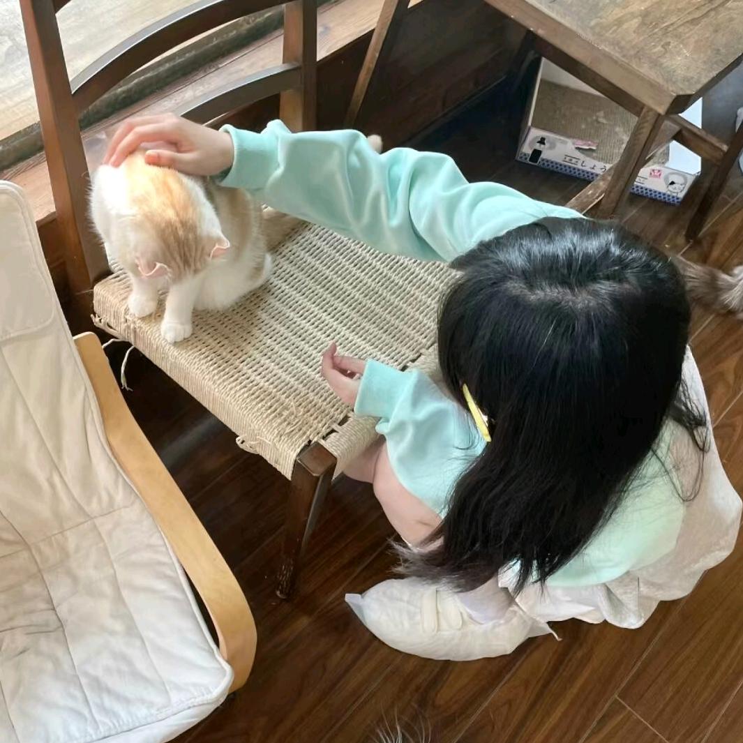 77佳
