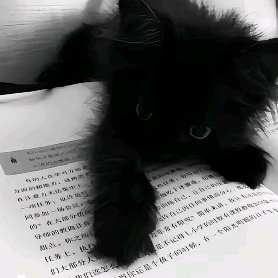 烟久