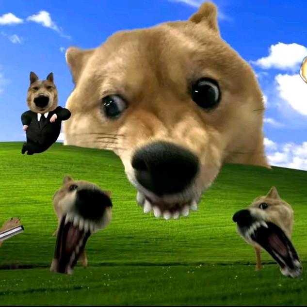 伍伍伍伍伍伍伍