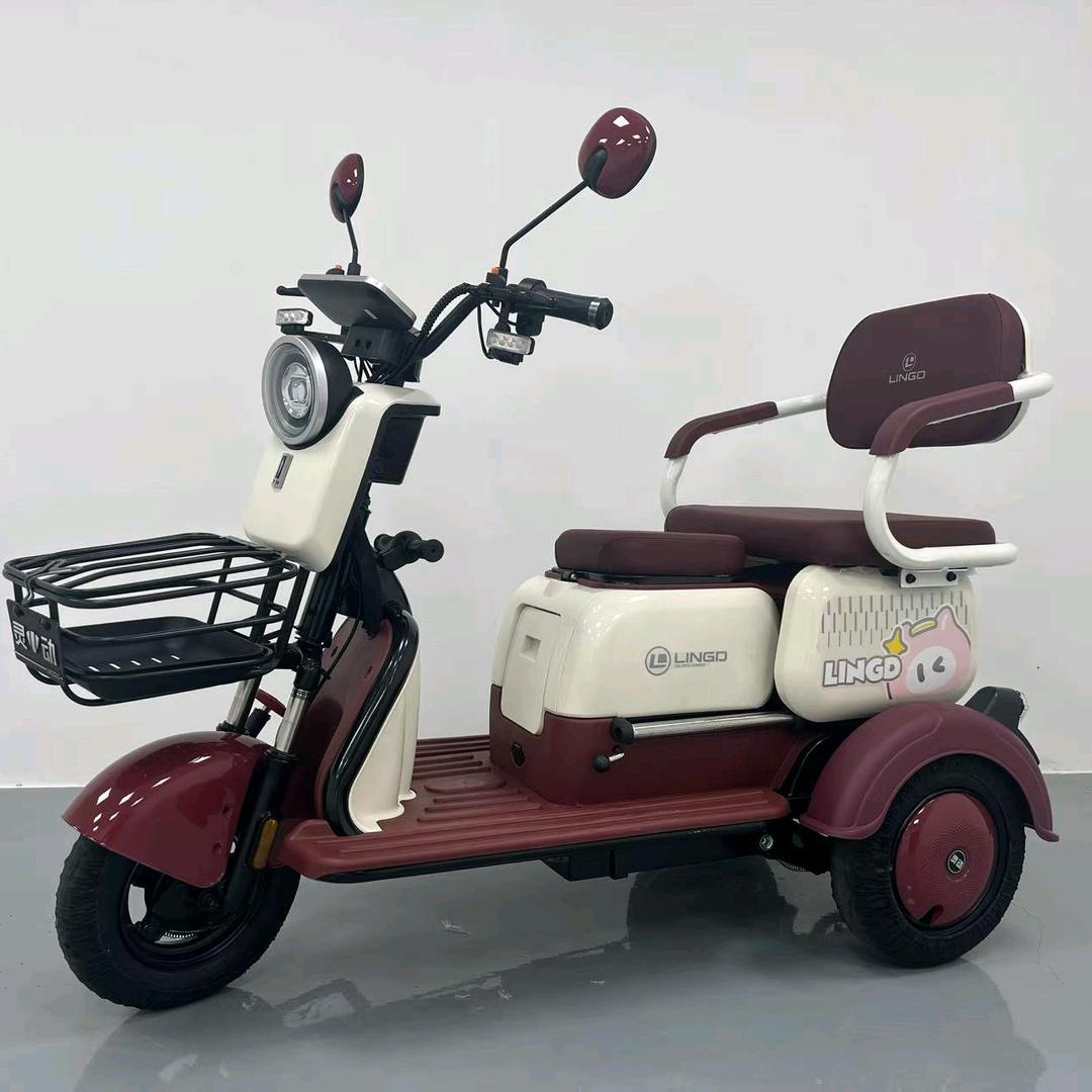 灵动电动三轮车甄选店