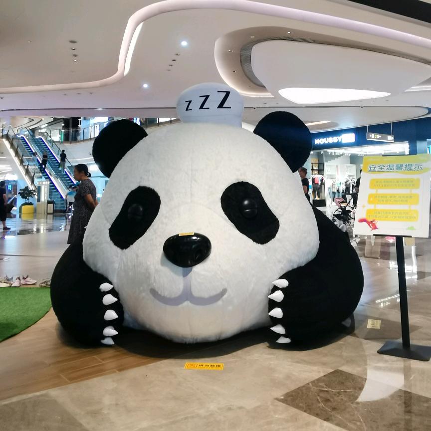 一生追随