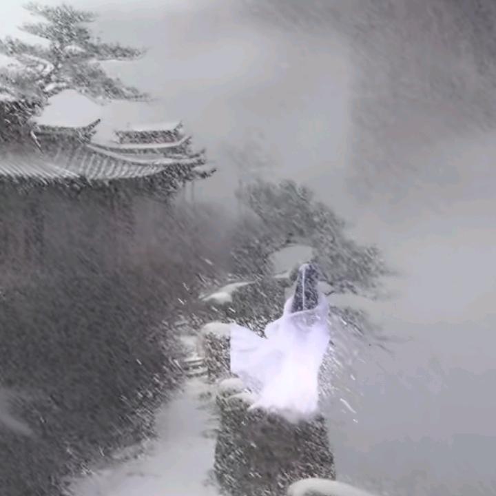 寒江飞雪