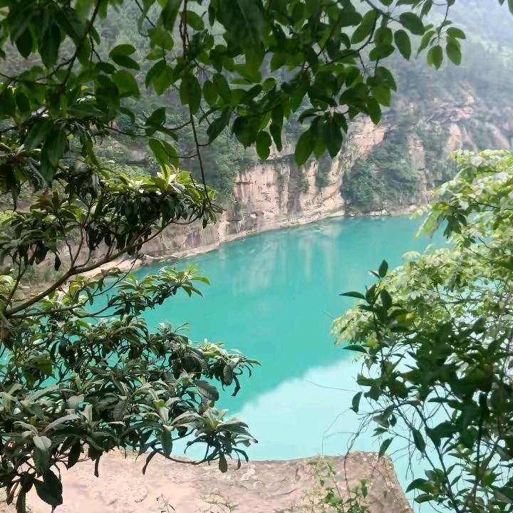 顺其自然🍀🍀