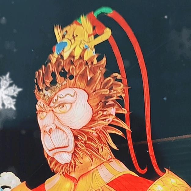 A河南花灯&星总