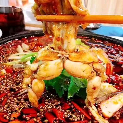 鼎福馋嘴蛙烤鱼官方号