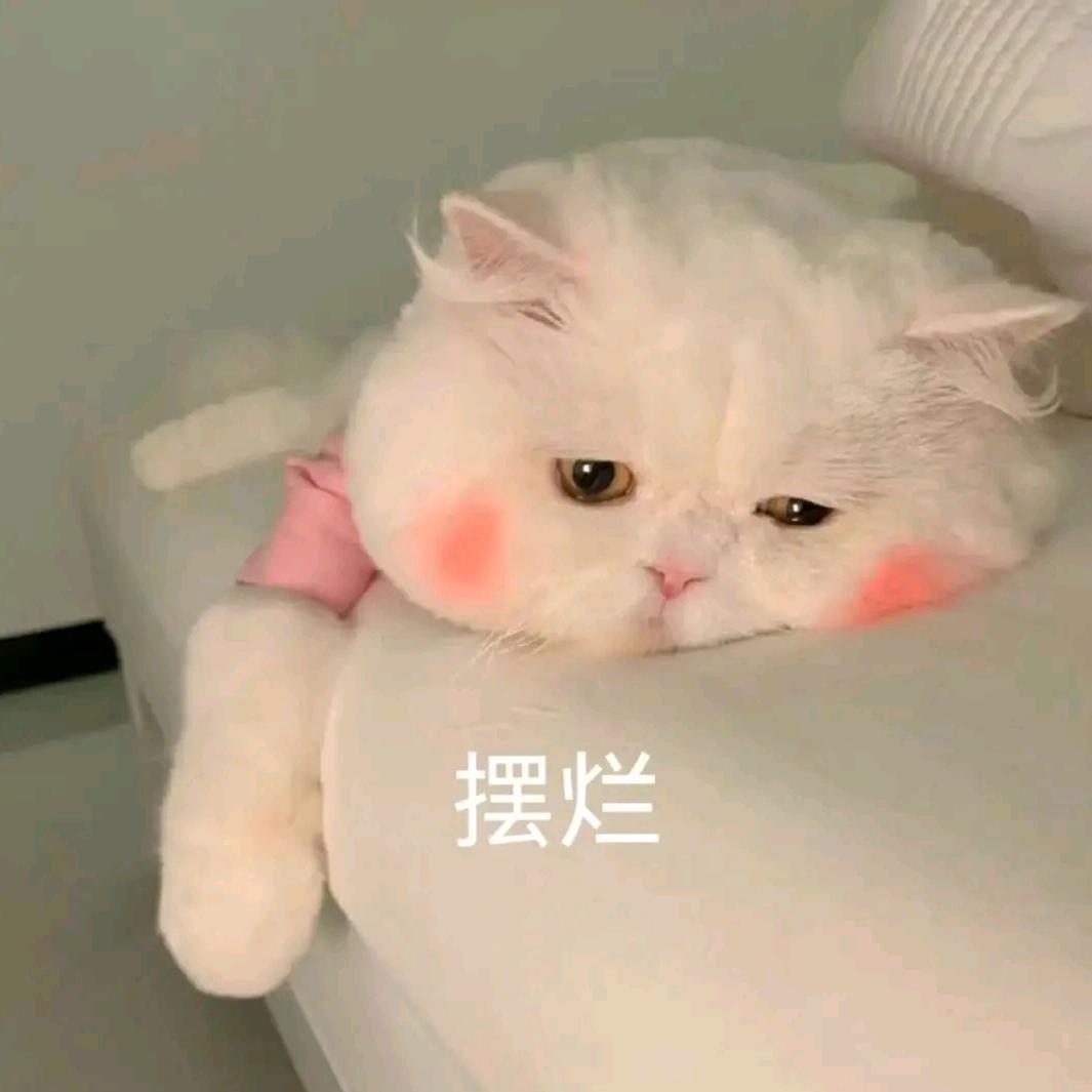迷茫着