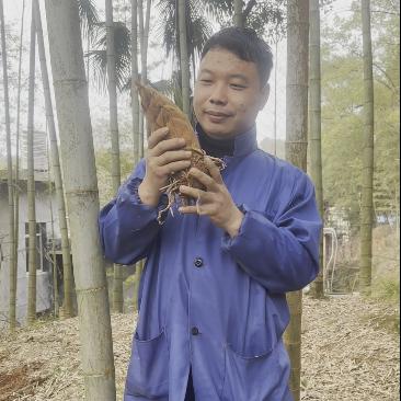 萍乡阿强