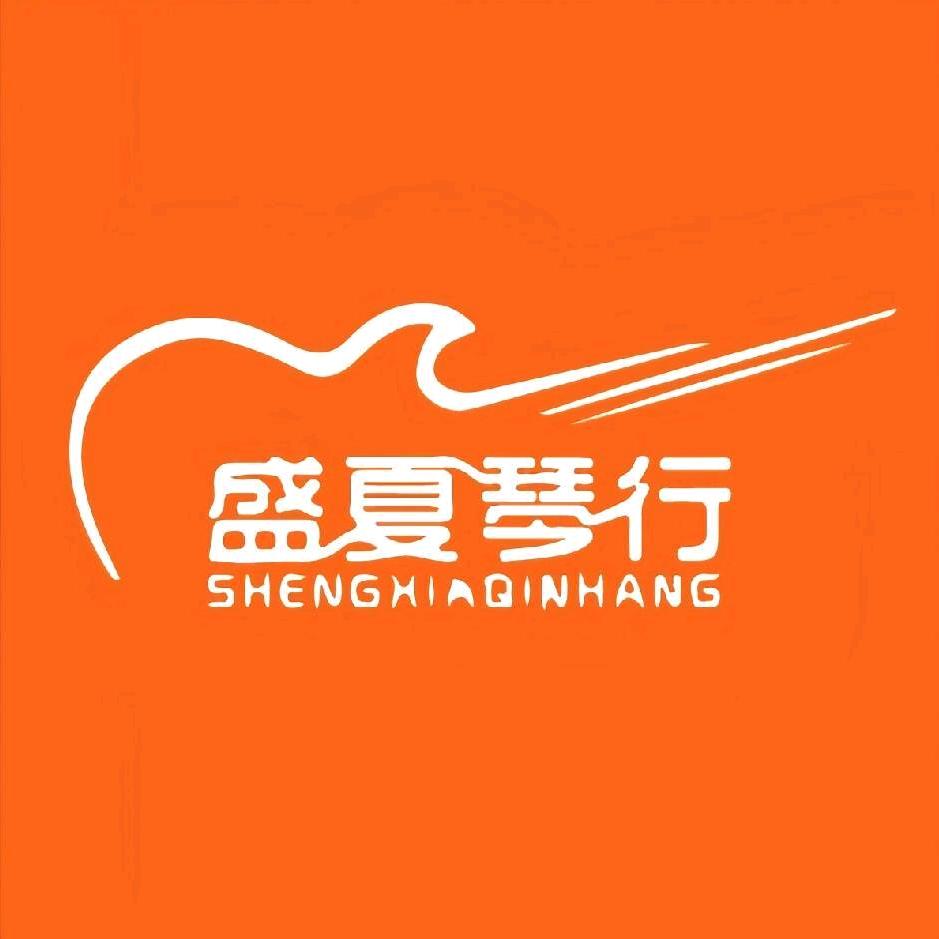 武理盛夏琴行