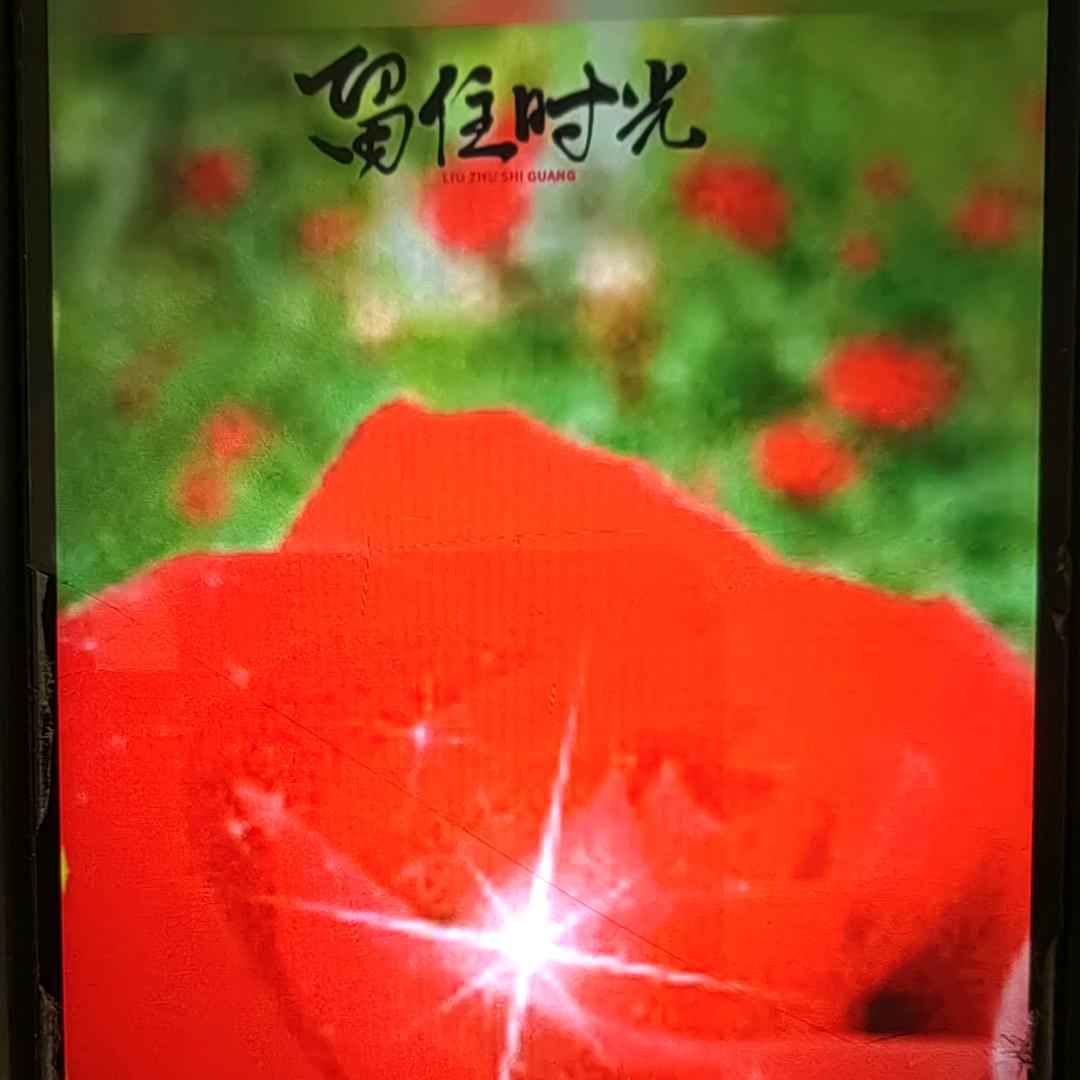 鑫润姐工号866331