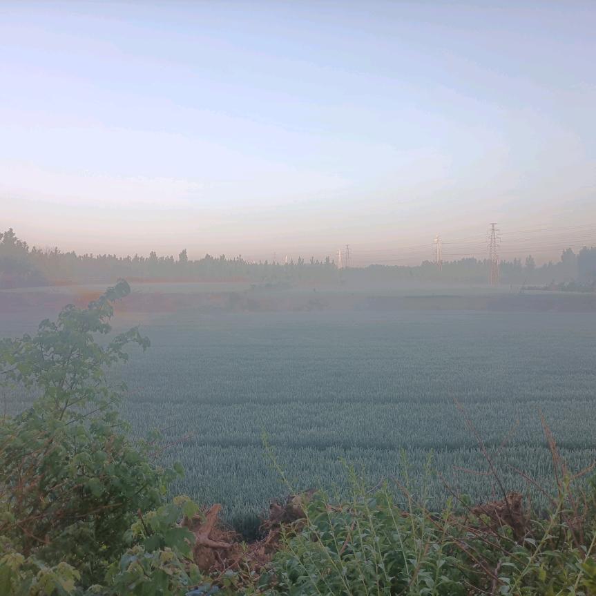 没想好