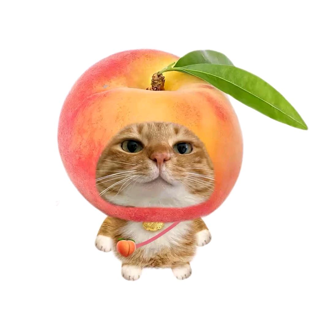 暗区泽霞