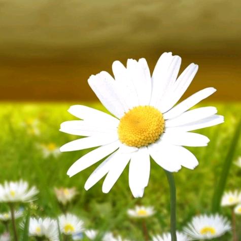 一段两段三四段