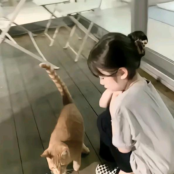 柒柒