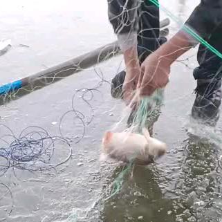 平安快乐每一天