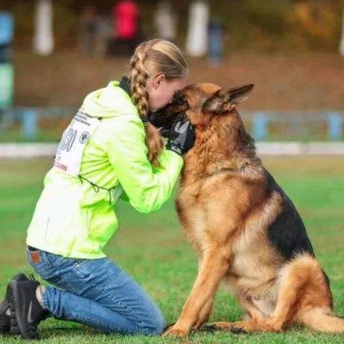 csv棹樾犬舍