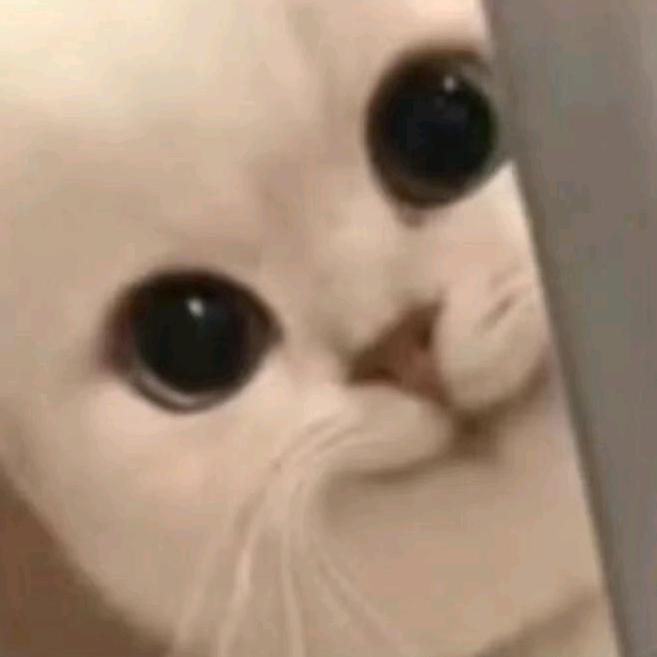 重生之我和🐉的校园生活