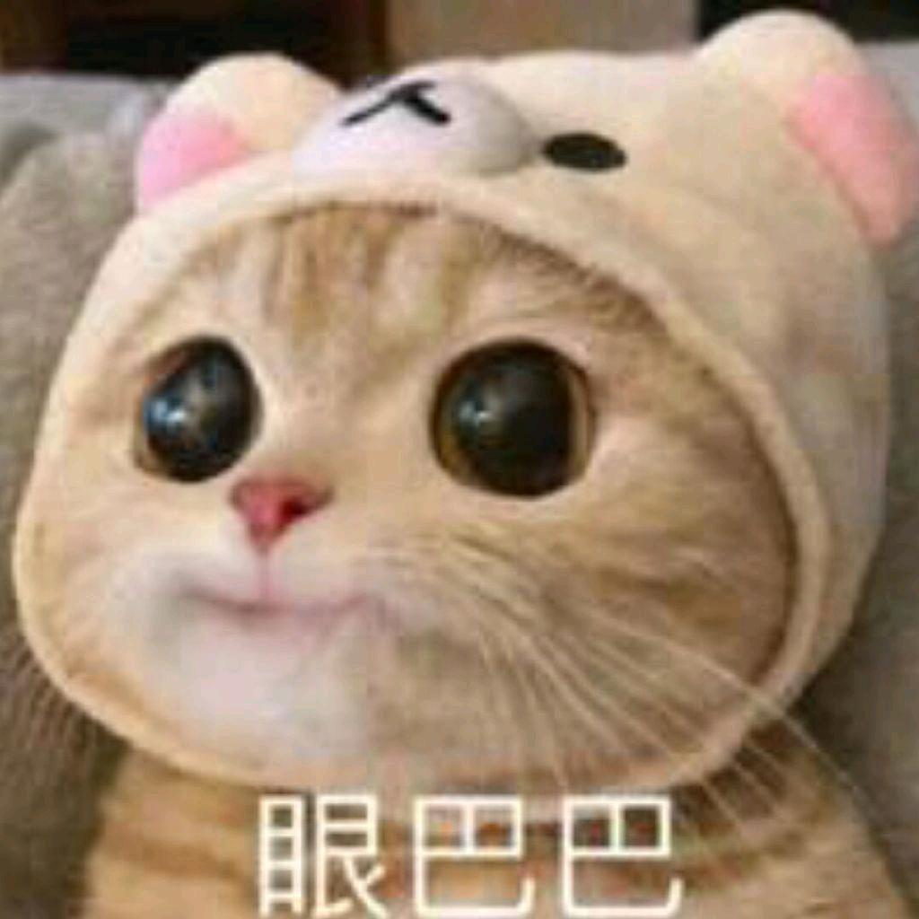 秋月白