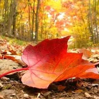 心若在，梦就在