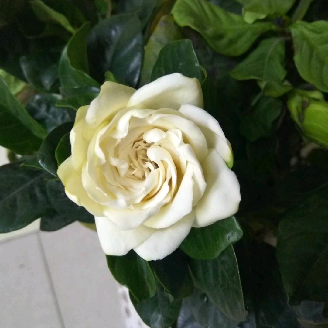 用户7860952639834