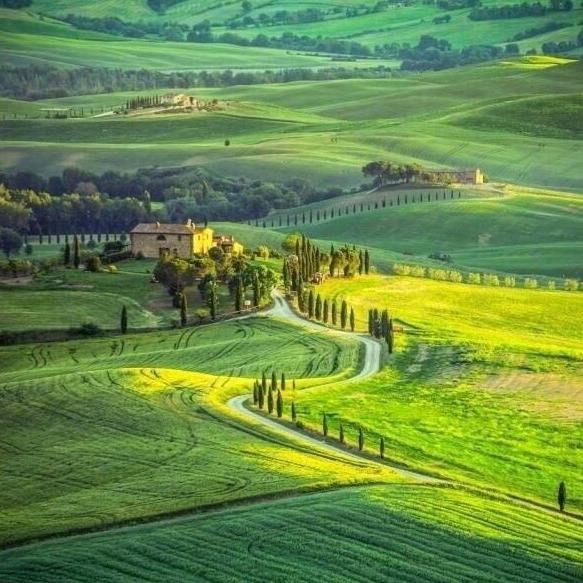 四季田野东北特产