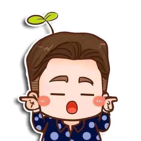 🍃 🍃 🍃 周