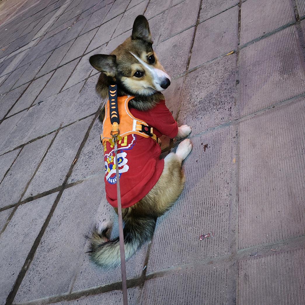 。。。。。！！