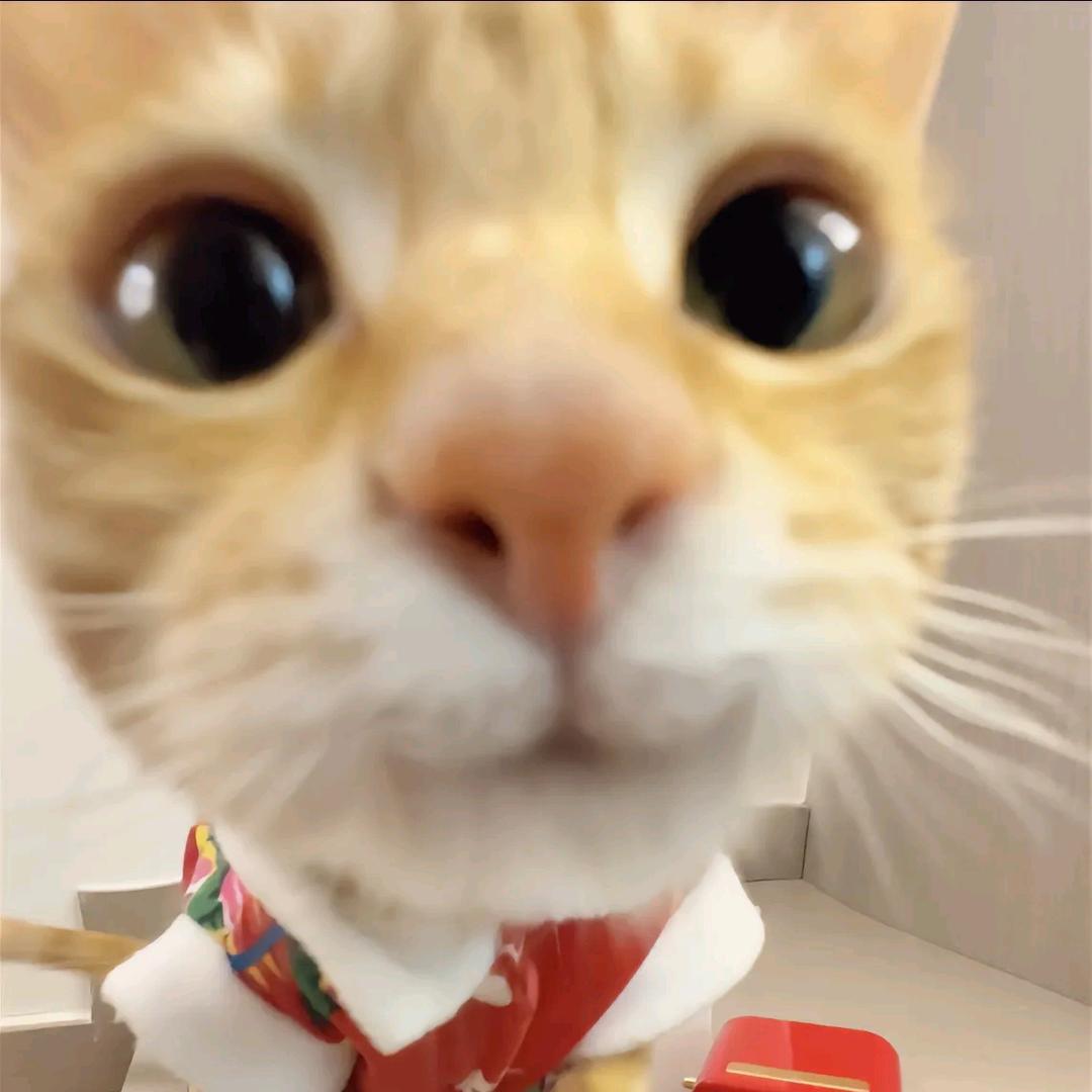 渴望玉牌也大喊来财