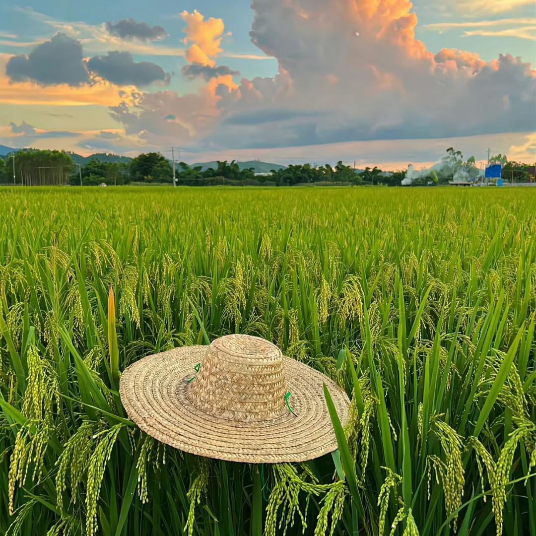 山村小陈📸纪录片