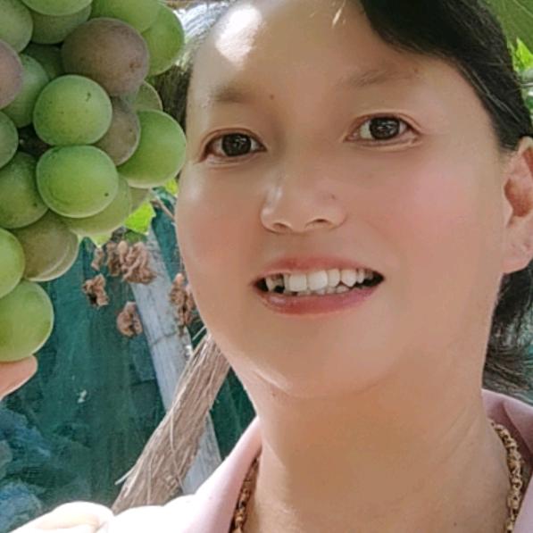 蓝天(停播学习中)