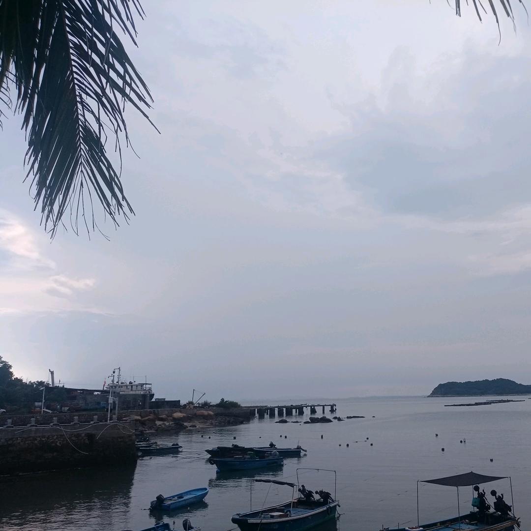 w晨致