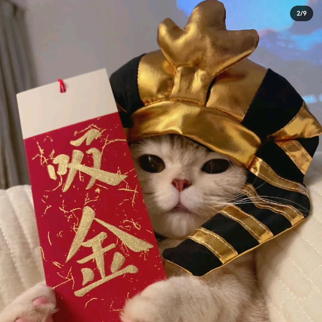 洁洁衣橱